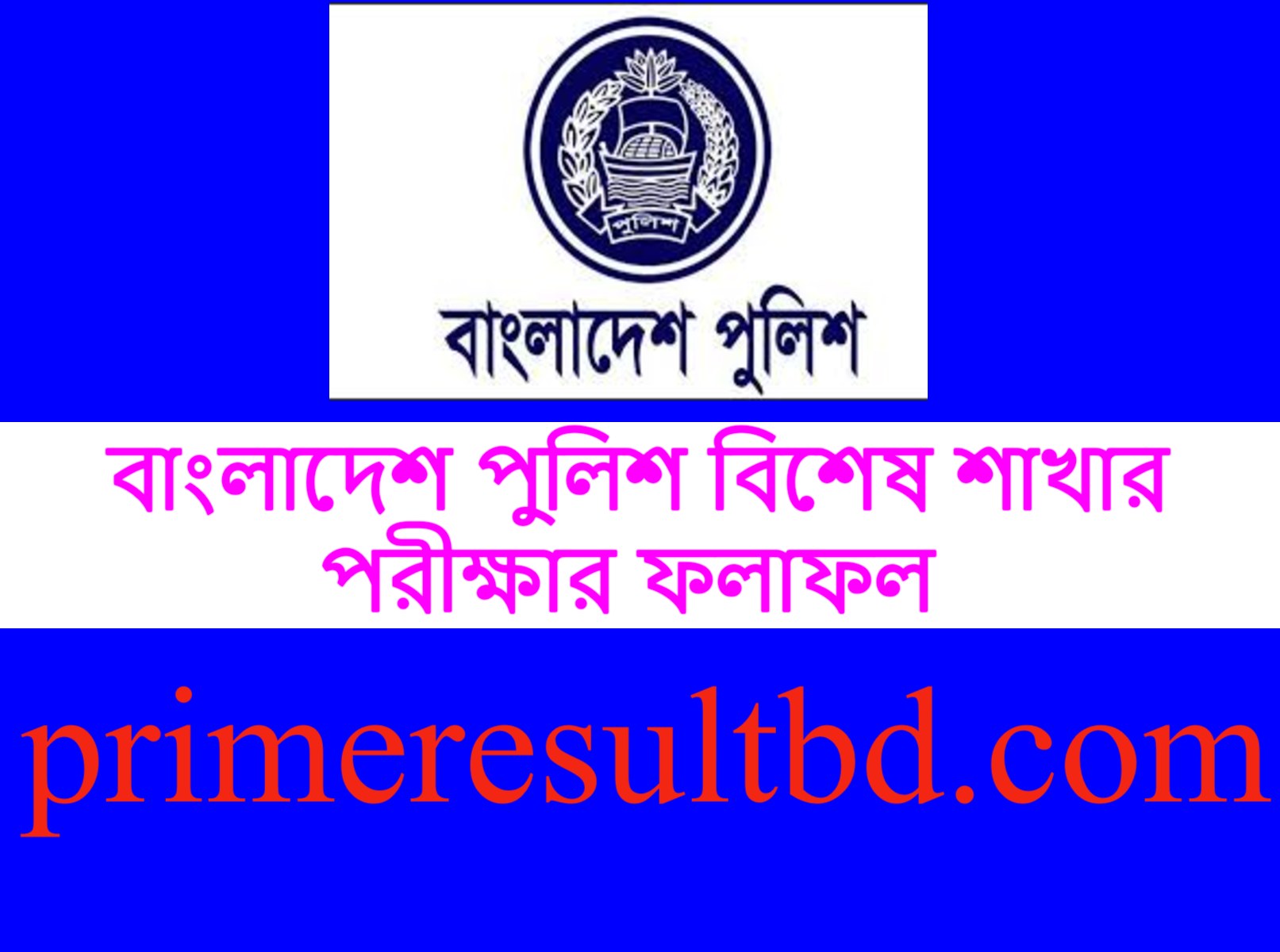 বাংলাদেশ পুলিশ বিশেষ শাখার পরীক্ষার ফলাফল ২০২৪